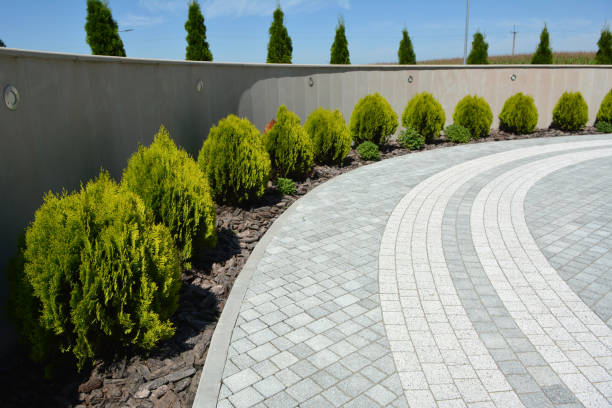 Best Driveway Repair Near Me  in Ellaville, GA